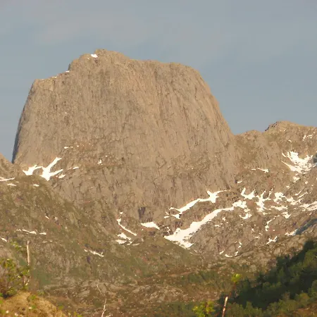 Skjellbogen Hyttegrend