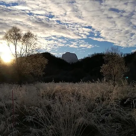 Skjellbogen Hyttegrend Lodge