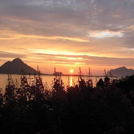 Skjellbogen Hyttegrend 롯지