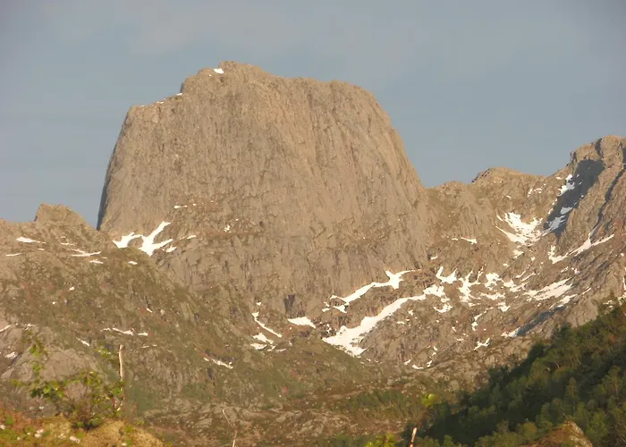 Skjellbogen Hyttegrend