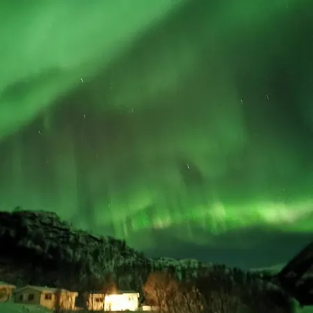 Skjellbogen Hyttegrend Sortland